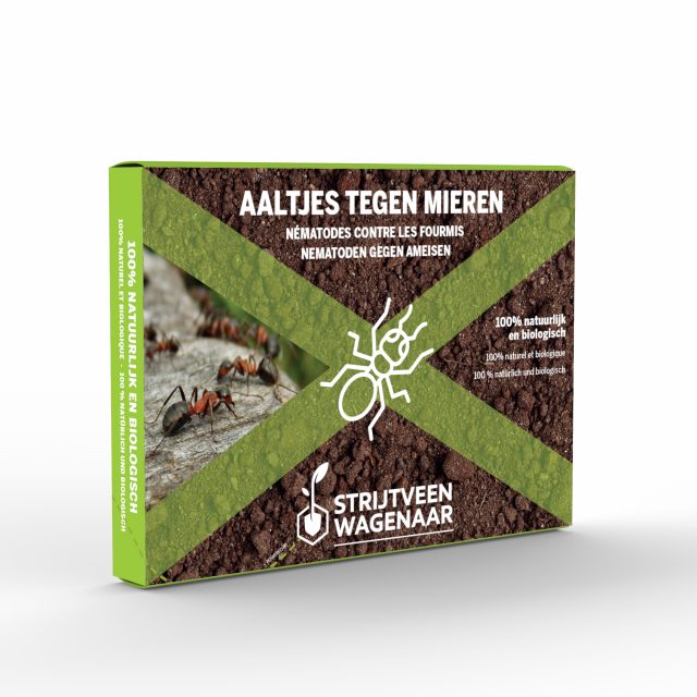 Aaltjes tegen mieren