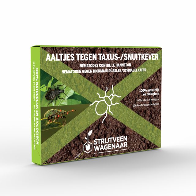 Aaltjes tegen taxuskevers + taxuskeverval